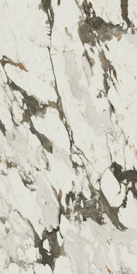 Аллюр Капрайя 120 Шлиф  (60X120) ..