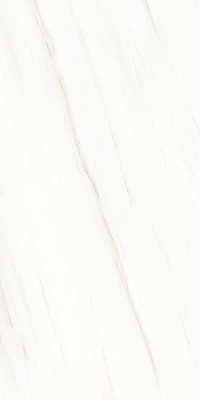 LAMFF00361