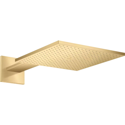 AX Верхний душ 300/300 1jet с держ., BGO ..