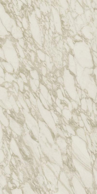 Marvel Royal Calacatta 120x240 Lapp.