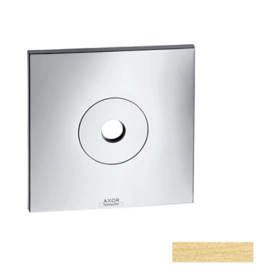 AX Citterio Панель для верхнего душа BB ..