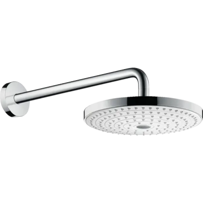 HG Raindance Select S 240 Верхний душ .. HG Raindance Select S 240 Верхний душ ..