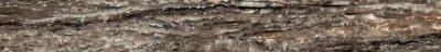 610090002332