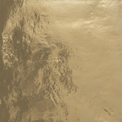 610010006292