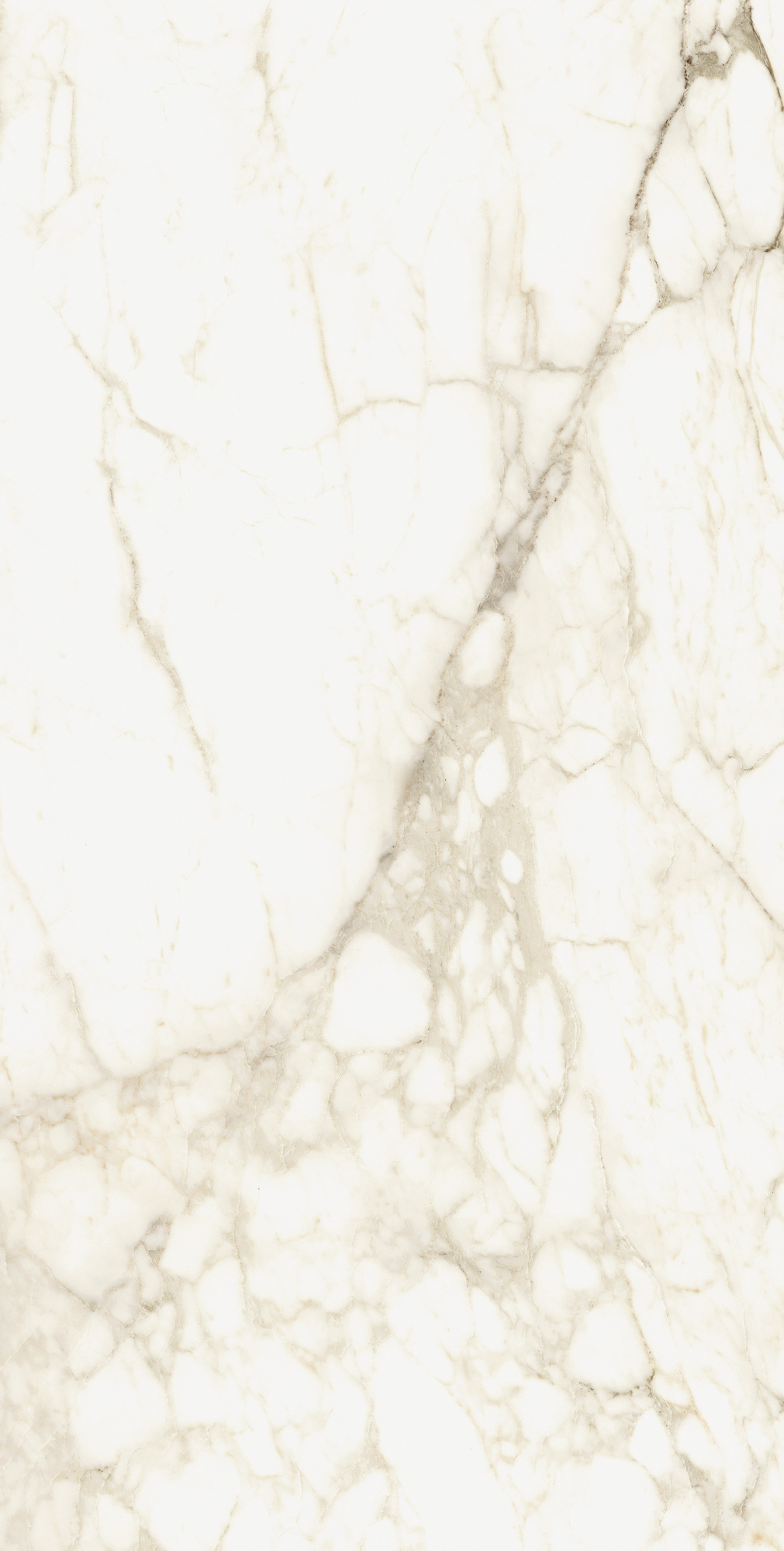 МИКЕЛАНДЖЕЛО ВОРМ 60X120 РЕТ