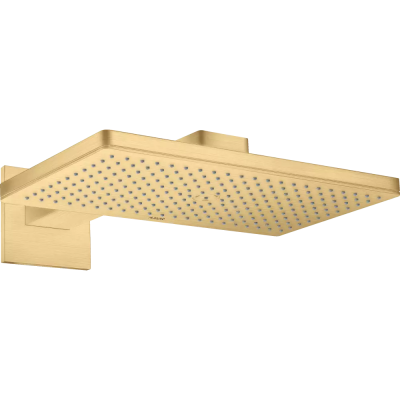 AX Верхний душ 460 1jet с держ., BGO ..