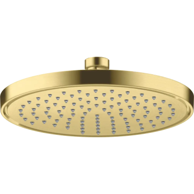 AX Conscious Showers Верхний душ 220 1jet, EcoSmart, BB ..