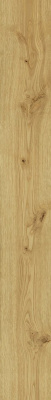 Exence Almond 18,5x150