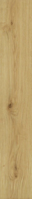 Exence Almond 20x120