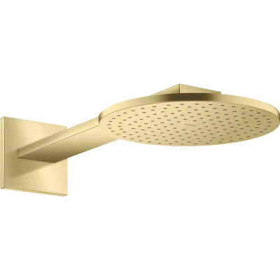 AX Верхний душ 250 2jet с держ.,  BB ..