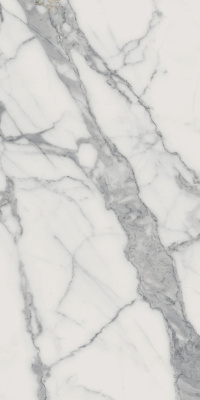 Шарм Эво Статуарио  Рет (60X120 Нат.) ..