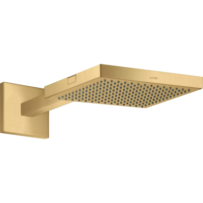 AX ShowerCollection Верхний душ BGO ..