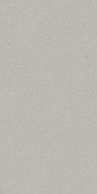 Солид Сильвер  Рет (60X120 Нат.) ..