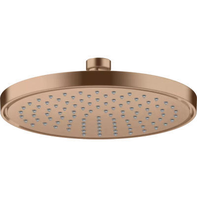 AX Conscious Showers Верхний душ 220 1jet, BRG .. AX Conscious Showers Верхний душ 220 1jet, BRG ..