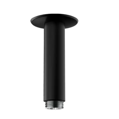 HG Raindance Потол. подсоед. 100мм, мч ..