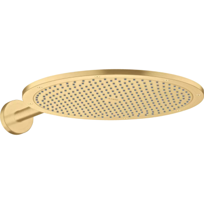 AX 350 1jet Верхний душ с держателем,BGO .. AX 350 1jet Верхний душ с держателем,BGO ..