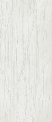 ШАР.ЭДВ.ПЛАТИНУМ УАЙТ 120X278 ЛЮКС ..