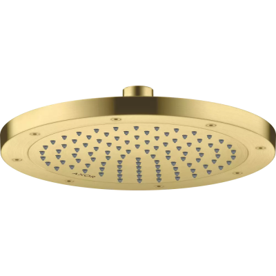 AX Conscious Showers Верхний душ 245 1jet, BB ..