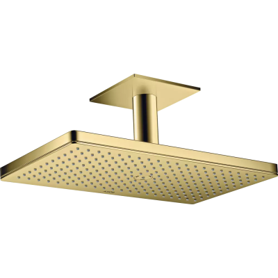 AX Верхний душ 460 1jet с пот. под., PB .. AX Верхний душ 460 1jet с пот. под., PB ..