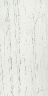 ШАР.ЭДВ.ПЛА.УАЙТ 60X120 ПАТ