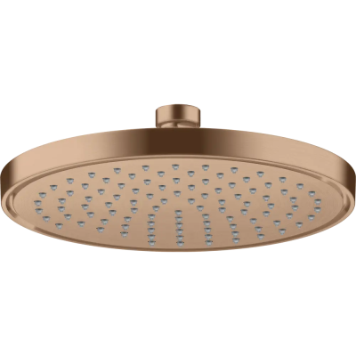 AX Conscious Showers Верхний душ 220 1jet, EcoSmart, BRG ..