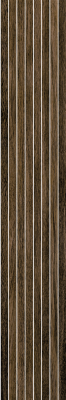 610010006256