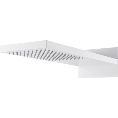 419-MW
