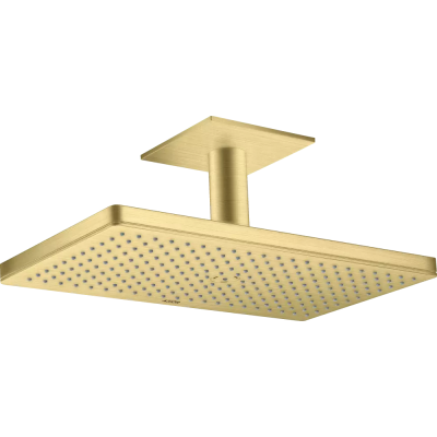 AX Верхний душ 460 1jet с пот. под., BB ..