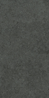 ФОРУМ СТОУН ПЕТРОЛ 60X120
