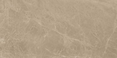 Marvel Elegant Sable 30x60