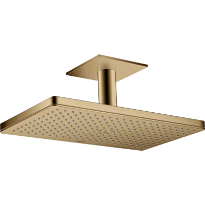 AX Верхний душ 460 1jet с пот. под., PBR ..