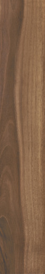 https://srv.plexrise.com:65333/italon/610010000813.jpg https://srv.plexrise.com:65333/italon/610010000813.jpg