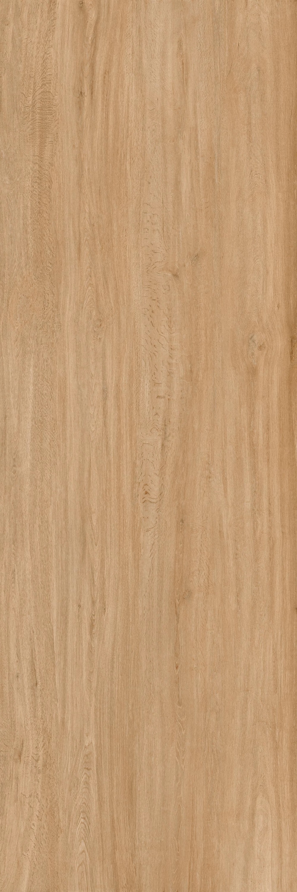 https://srv.plexrise.com:65333/20251128/laminam/LAMF011050.jpg