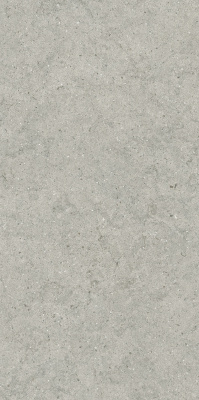 ФОРУМ СТОУН СИЛЬВЕР 60X120
