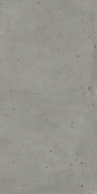 АВА.АЙРОН 60X120 РЕТ