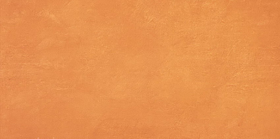 Керамич. плитка Ewall Orange 40x80 ..