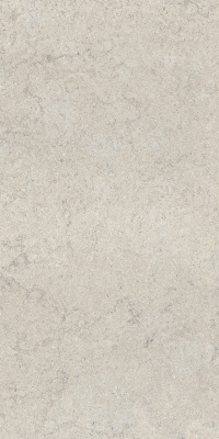 ДИСКАВЕР УАЙТ 60X120 РЕТ ..