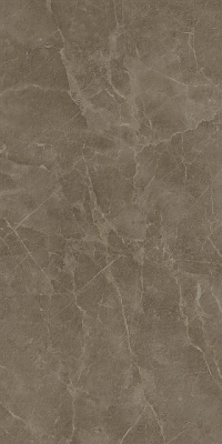 S.S. Grey Wax  / С.С. Грей 60х120 Вакс Рет. (60X120)