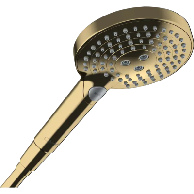 HG RD Sel S 120 3j PRain Ручной душ, PGO ..